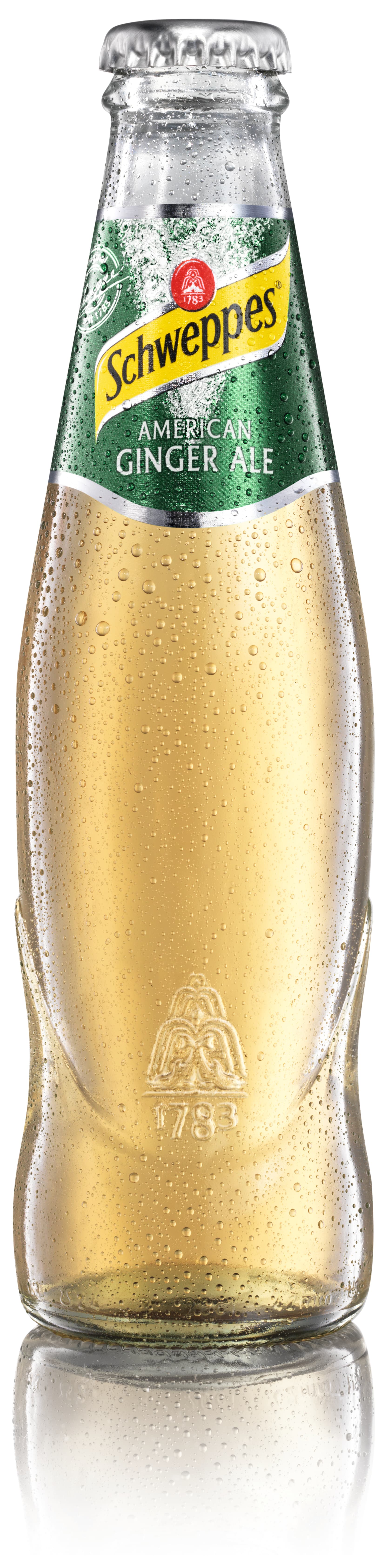 American_Ginger_Ale_02l_MW.jpg
