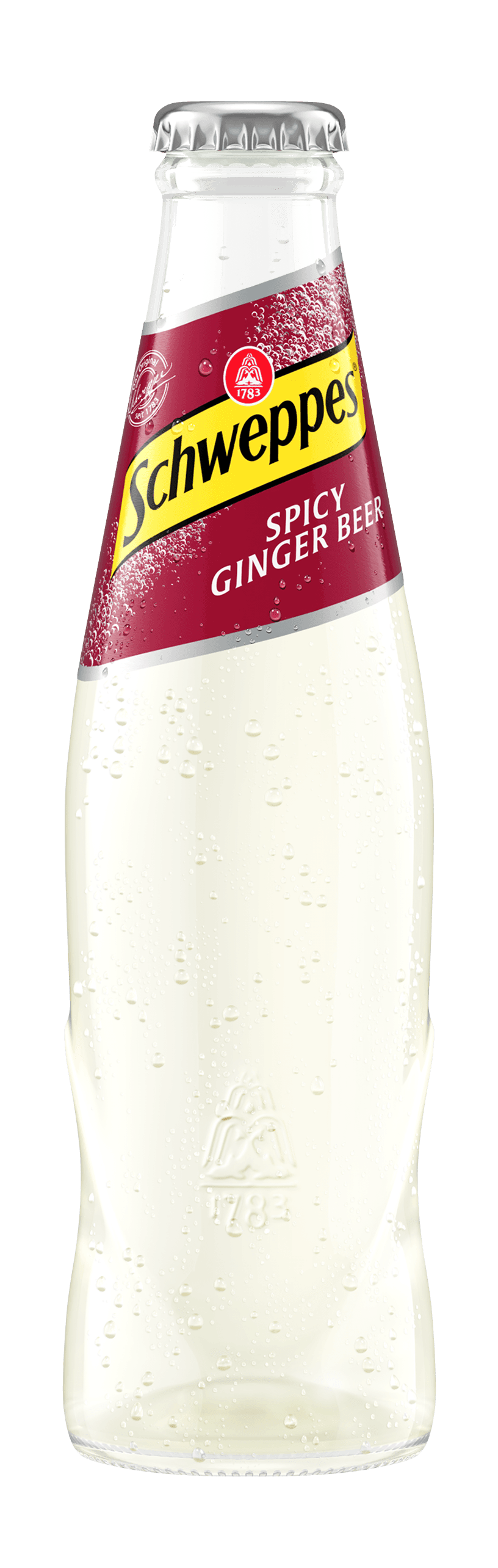 Spicy_Ginger_Beer_02l_MW_Durchsicht.png