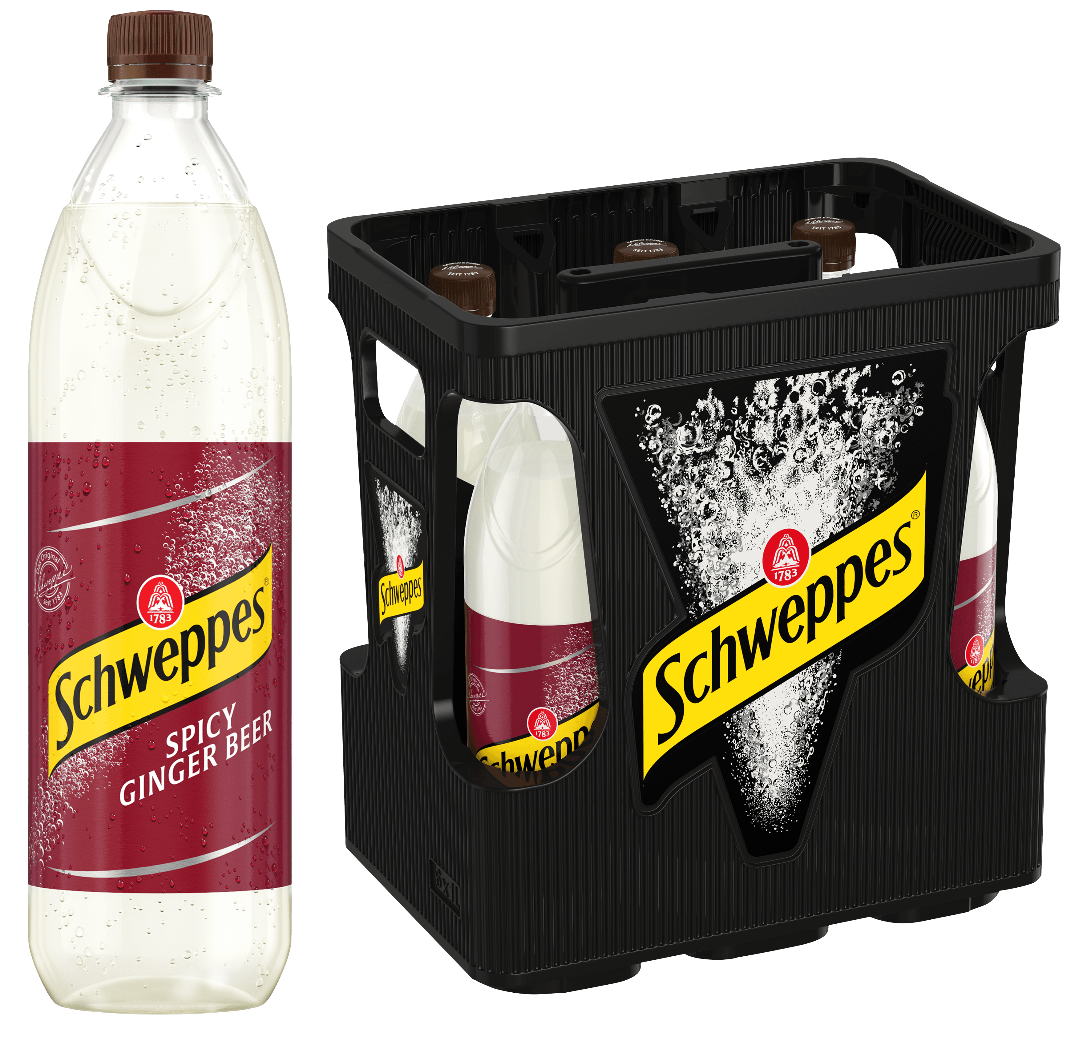 Spicy_Ginger_Beer_6x1l_MW.png